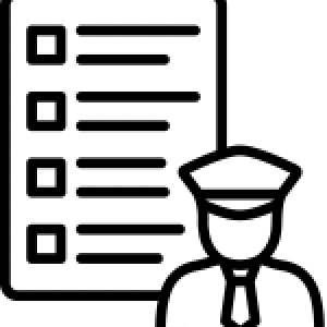 customs-and-import-issues-icon Customs and import issues related to FDA issues