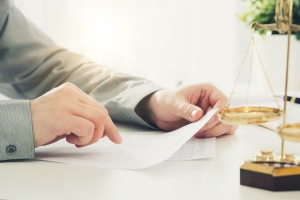 Lawyer Working In The Office